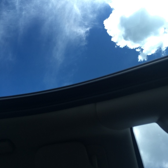 Meet your Posher, Gunnar - Picture 1 of 1